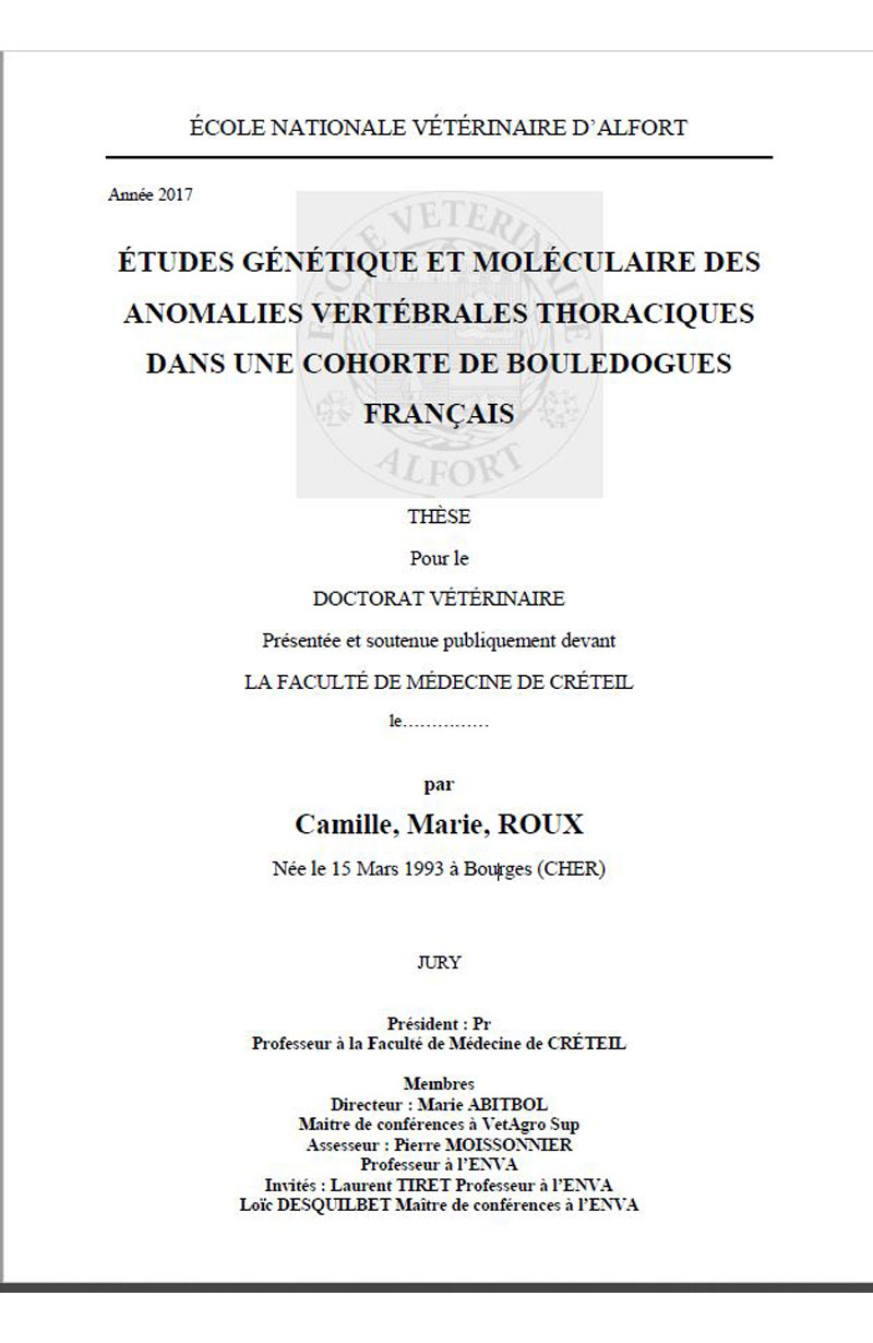 ROUX (Camille), Études génétique et moléculaire des anomalies vertébrales thoraciques dans une cohorte de bouledogues français, Thèse 2017