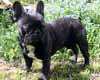 Mme SERRE Viviane (prop.)