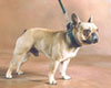 Mlle AUDAM Nadia (prop.)