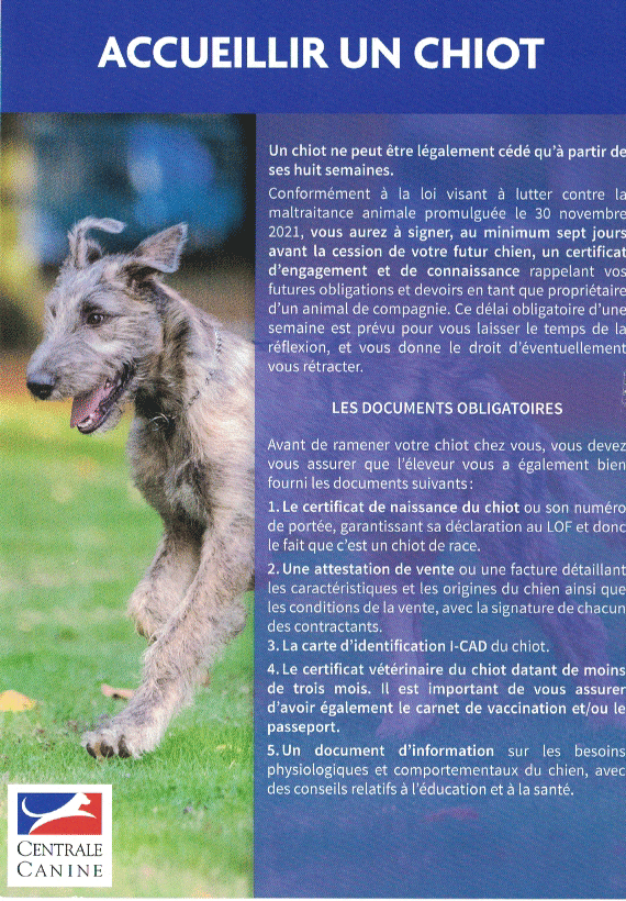 Accueillir un chiot