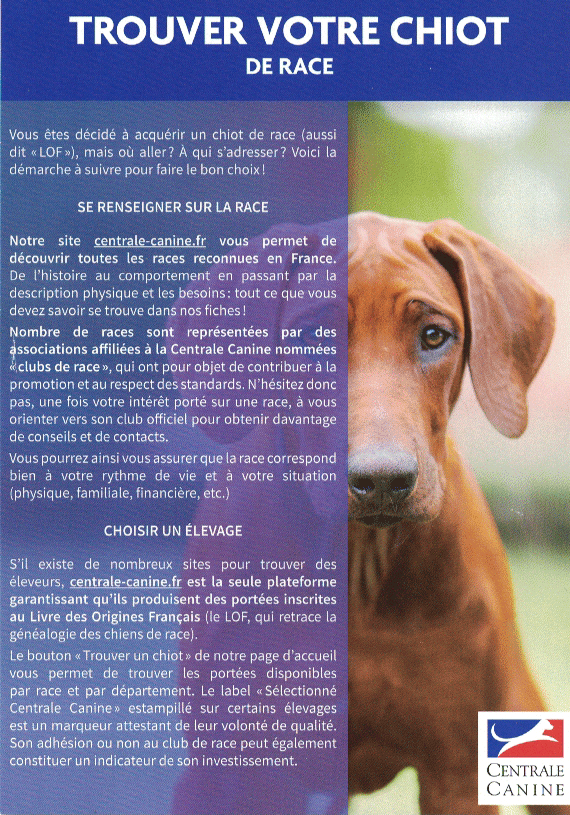 Trouver votre chiot de race